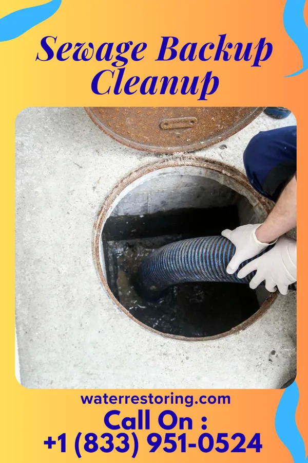 Sewage Backup Cleanup in Watchtower, NY
